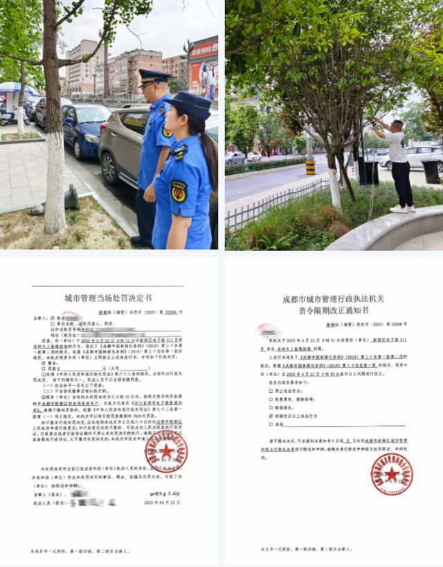 架”！这些行为违法别把绿化树当“晾衣(图2)