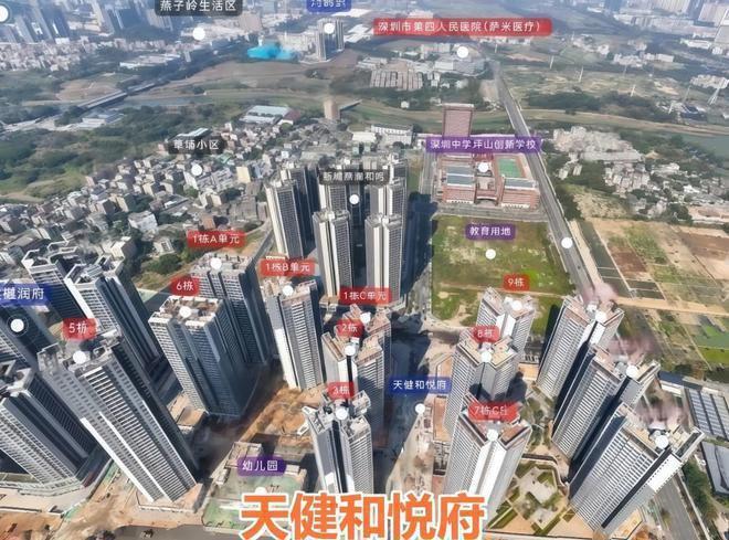 团开发和悦府位于坪山石井街道天健和悦府由深圳国企天健集(图11)